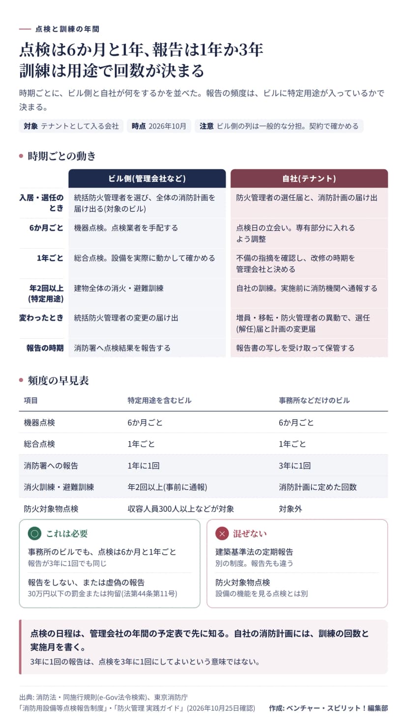 時期ごとにビル側と自社の動きを並べた図と頻度の早見表。機器点検は6か月ごと、総合点検は1年ごと、消防署への報告は特定用途を含むビルが1年に1回、事務所などだけのビルが3年に1回、訓練は特定用途で年2回以上。
