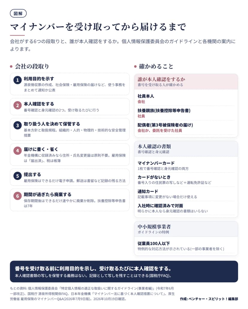 会社がマイナンバーを扱う6つの段取り。1 利用目的を示す(源泉徴収票の作成、社会保険・雇用保険の届けなど、使う事務をまとめて通知か公表)。2 本人確認をする(番号確認と身元確認の2つ、受け取るたびに行う)。3 取り扱う人を決めて保管する(基本方針と取扱規程、組織的・人的・物理的・技術的な安全管理措置)。4 届けに書く・省く(年金機構に収録済みなら住所・氏名変更届は原則不要、雇用保険は届出済、税は帳簿)。5 提出する(雇用保険はできるだけ電子申請、郵送は書留など記録の残る方法)。6 期間が過ぎたら廃棄する(保存期間後はできるだけ速やかに廃棄か削除、扶養控除等申告書は7年)。右側は確かめること。本人確認をするのは、社員本人は会社、扶養控除等申告書の扶養親族は社員、第3号被保険者の届けの配偶者は会社か委託を受けた社員。本人確認の書類は、マイナンバーカードなら1枚で番号確認と身元確認の両方、カードがないときは番号入りの住民票の写しなどと運転免許証など、通知カードは記載事項に変更がない場合だけ使え、入社時に確認済みで対面で明らかに本人なら身元確認の書類はいらない。従業員100人以下の中小規模事業者には特例的な対応方法が示されている(一部の事業者を除く)。本人確認書類の写しを保管する義務はなく、記録として残すことはできる。
