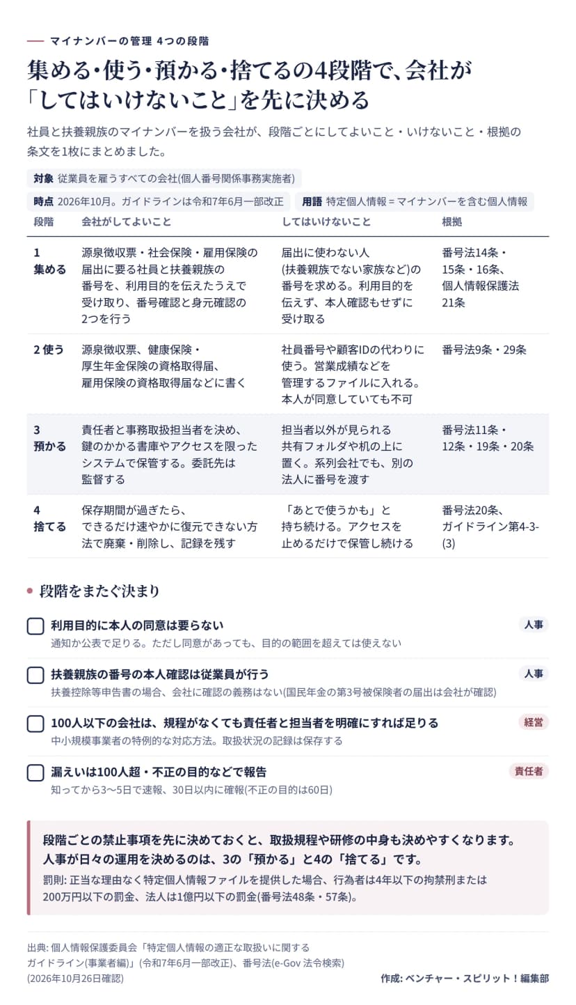 表。段階は集める、使う、預かる、捨てるの4つ。集めるは利用目的を伝えて受け取り、番号確認と身元確認を行う。使うは源泉徴収票や資格取得届に書くだけで、社員番号の代わりにはできない。預かるは責任者と担当者を決め鍵のかかる書庫で保管し、委託先を監督する。捨てるは保存期間が過ぎたら速やかに廃棄し記録を残す。下に、同意は不要、扶養親族の確認は従業員、100人以下の特例、漏えい報告の期限、罰則を載せている。