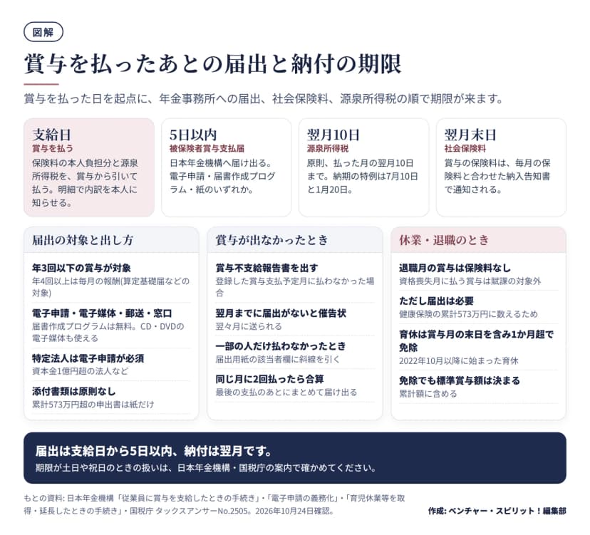 支給日、5日以内(被保険者賞与支払届)、翌月10日(源泉所得税。納期の特例は7月10日と1月20日)、翌月末日(社会保険料)の4つの期限。下に3つの欄。届出の対象と出し方(年3回以下、電子申請・電子媒体・郵送・窓口、特定法人は電子申請が必須、添付書類は原則なし)、賞与が出なかったとき(賞与不支給報告書、翌月までに届出がないと翌々月に催告状、一部の人だけは斜線、同月2回は合算)、休業・退職のとき(退職月は保険料なしだが届出は必要、育休は賞与月の末日を含み1か月超で免除、免除でも標準賞与額は決まる)。
